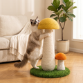Trepador de Setas | Cute Club